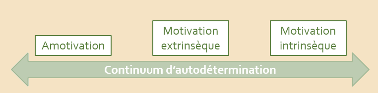 Motivation autodéterminée