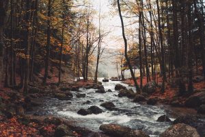 SOPSIE en éducation