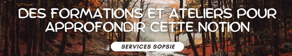 services SOPSIE